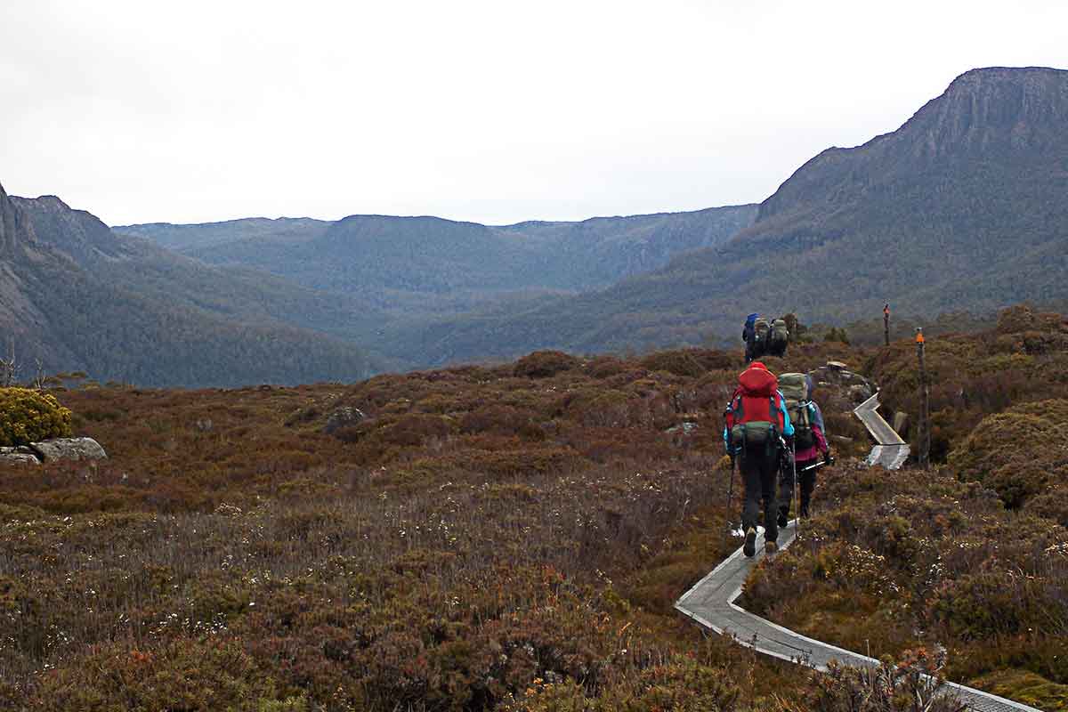 Trekkers-walking-through-the-expanse-of-the-Overland-Track